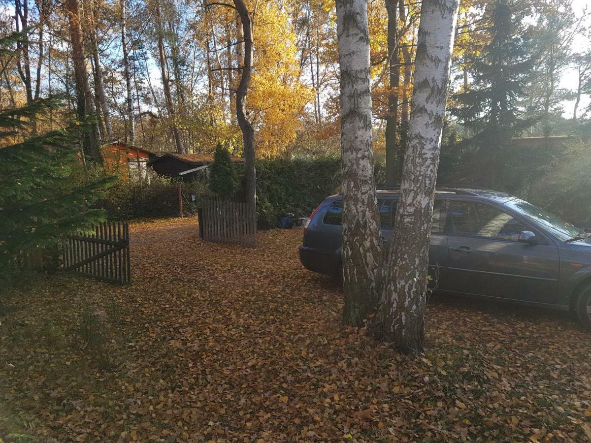 Gemutlicher Ferienbungalow Am Felsensee Bei Pretzien Villa Exterior foto