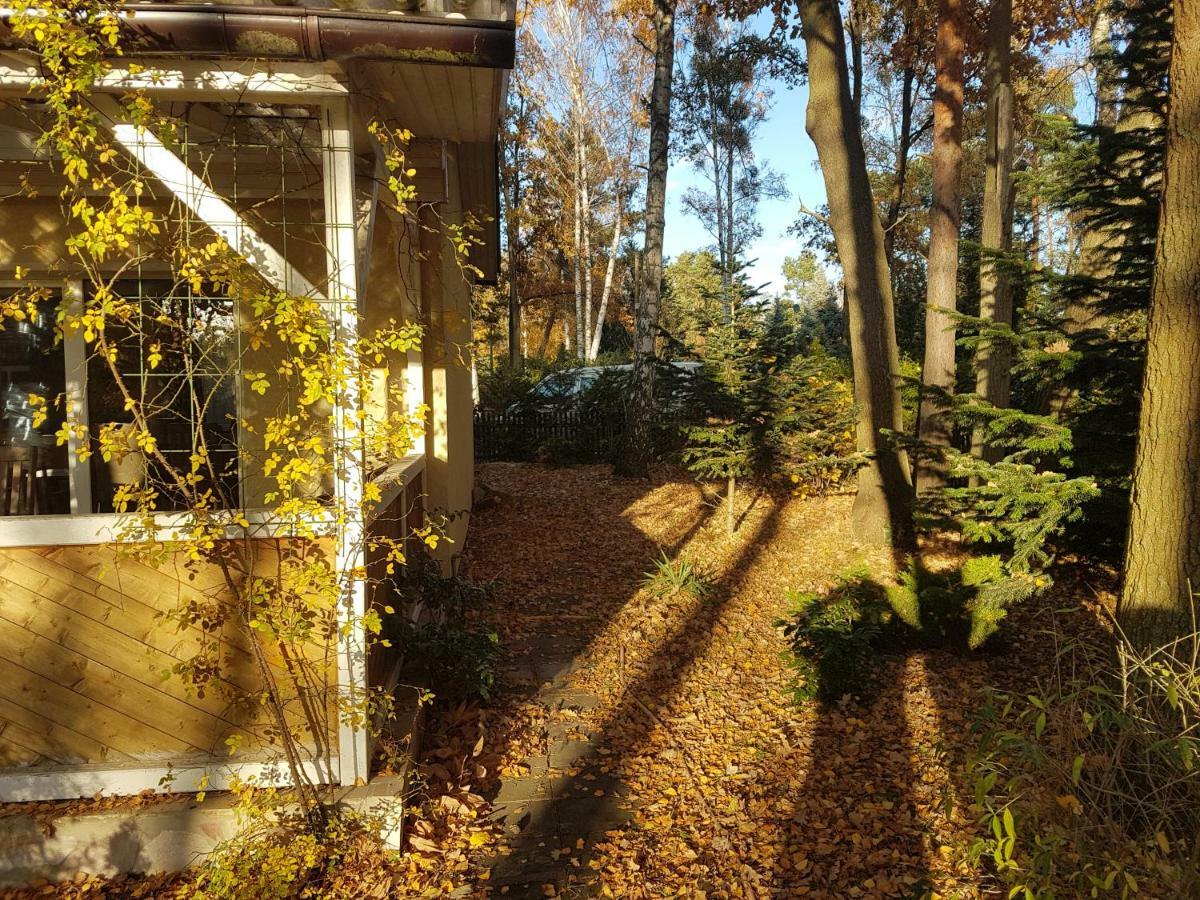 Gemutlicher Ferienbungalow Am Felsensee Bei Pretzien Villa Exterior foto